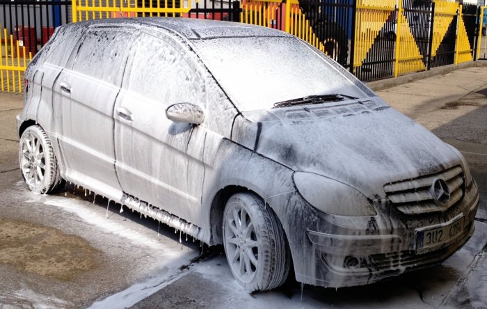 Aktivní pěna, odstraňovač hmyzu Koch Vorreiniger B 1 l-3