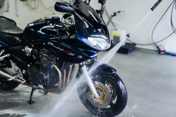 Odstraňovač hmyzu a nečistot Koch Insectdirtremover 750 ml s rozprašovačem-7